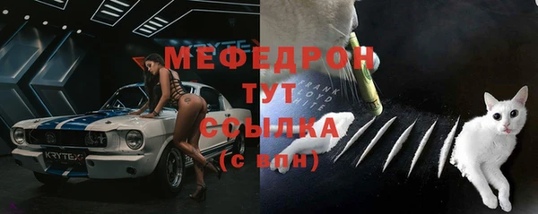 МДПВ Каменка