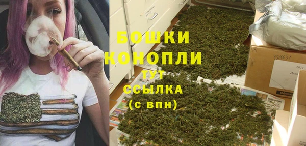 МДПВ Каменка
