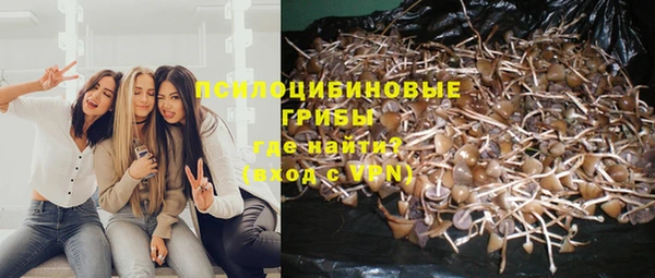 прущая мука Касимов
