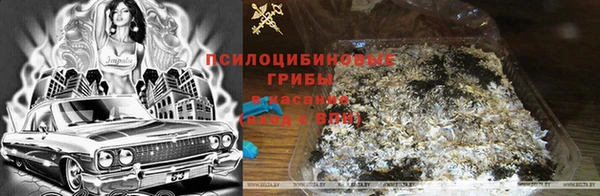 твердый Каменск-Шахтинский