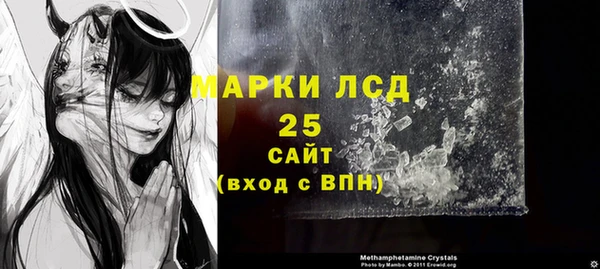 МДПВ Каменка
