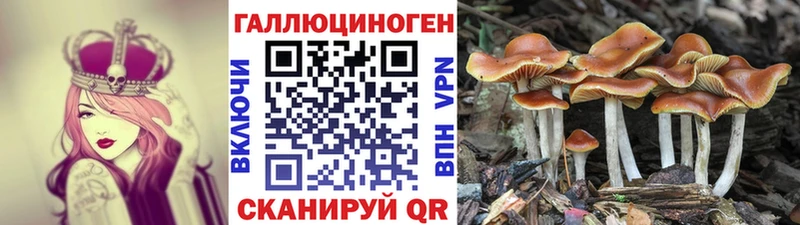 Псилоцибиновые грибы Psilocybine cubensis  hydra ONION  Карабаш 